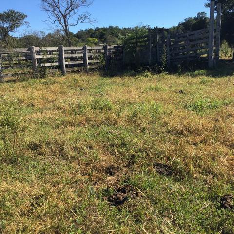 Fazenda c/ 570he, c/ 90% aberto/juquirado, 8km de Itiquira-MT, entrada + 4 parcelas - Foto 16
