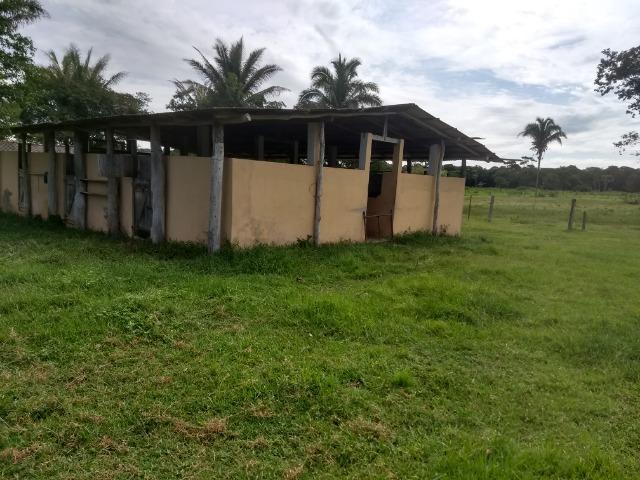 Fazenda com 200he, c/ 50% formado, terra de cultura, 40km de Cuiabá-MT - Foto 11