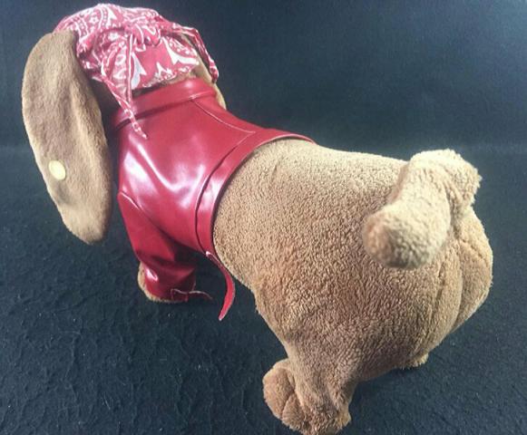 Cachorro "Badboy" Que Canta e Dança - Foto 5