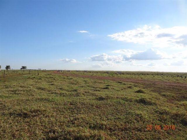 Fazenda c/ 1.700he c/ 80% formados, dupla aptidão, Itiquira-MT, pego 50% em imóvel no PR - Foto 5