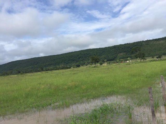 Fazenda c/ 300he, 90% aberto, a 85km de Cuiabá-MT, 40% em imóveis, Sto Antonio Leverger-MT - Foto 9