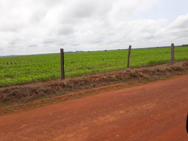 Fazenda 2.527 Hectares Plantando Lavoura - Grande Oportunidade - MT