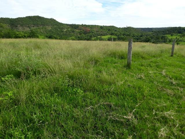 Fazenda c/ 912he, 550he formados, Terra boa, Itiquira-MT - Foto 3