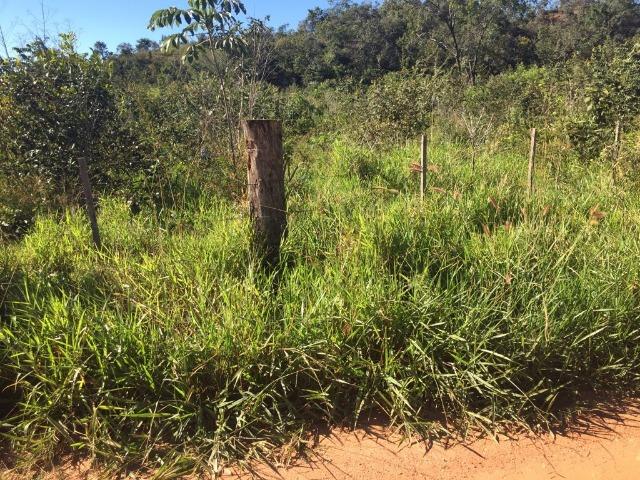 Fazenda c/ 570he, c/ 90% aberto/juquirado, 8km de Itiquira-MT, entrada + 4 parcelas - Foto 5