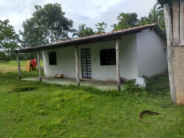 Fazenda com 200he, c/ 50% formado, terra de cultura, 40km de Cuiabá-MT - Foto 9