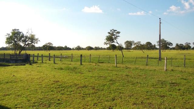 Fazenda 1.210 Hectares Excelente Pecuária - Cáceres - MT - Foto 4