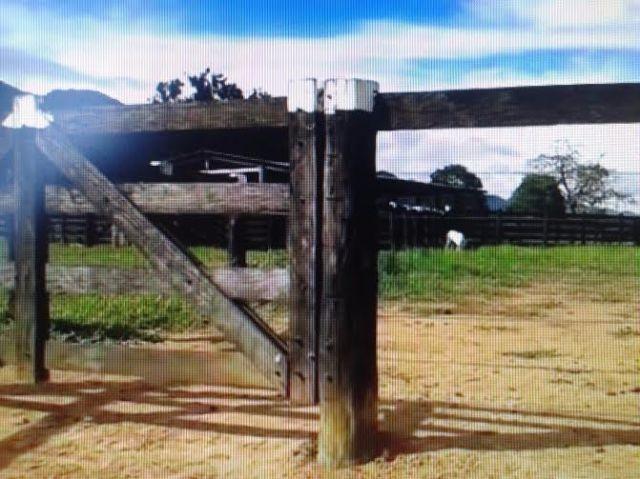 Fazenda c/ 1.098he c/ 80% formado, a 5km da BR, Caceres-MT - Foto 3