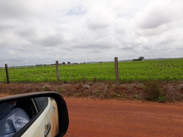 Fazenda 2.527 Hectares Plantando Lavoura - Grande Oportunidade - MT - Foto 2