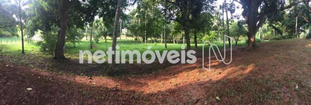 Sítio à venda com 4 dormitórios em Jauá, Camaçari cod:776377 - Foto 17
