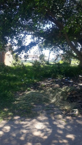 Terreno 1000 M2 Unamar Tamoios - Foto 3
