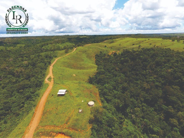 Oportunidade Fazenda Pecuária Próximo de Palmas - Foto 2