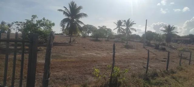 Lotes em Sucatinga - Beberibe  - Foto 5