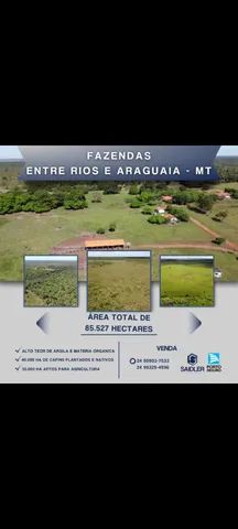  Fazenda 86.580 hectares em São Félix do Araguaia 