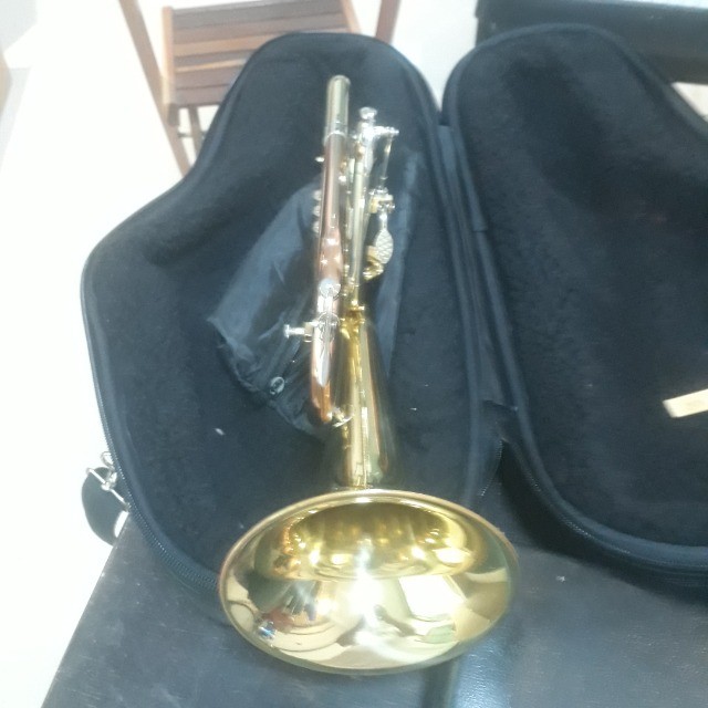 FluguelHorn Sib Michael novo - Foto 5