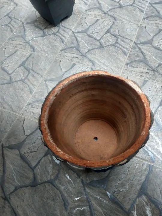 Vaso Português - Foto 5