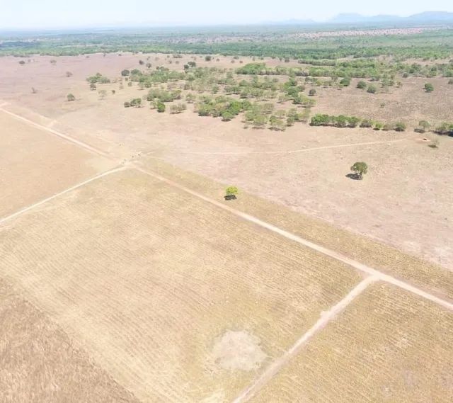 Fazenda em Silvanopolis. Dupla aptidão. - Foto 3