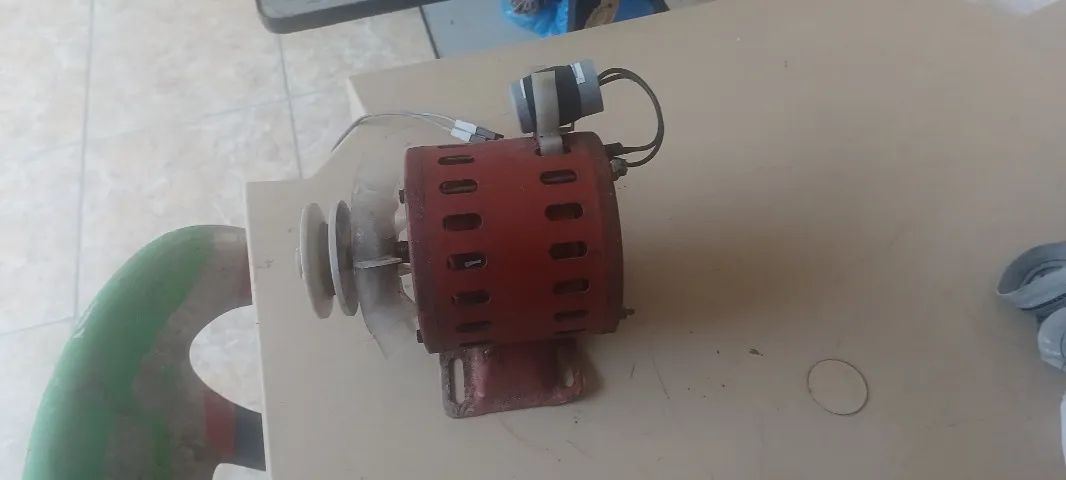 Motor Weg 220v - Foto 4