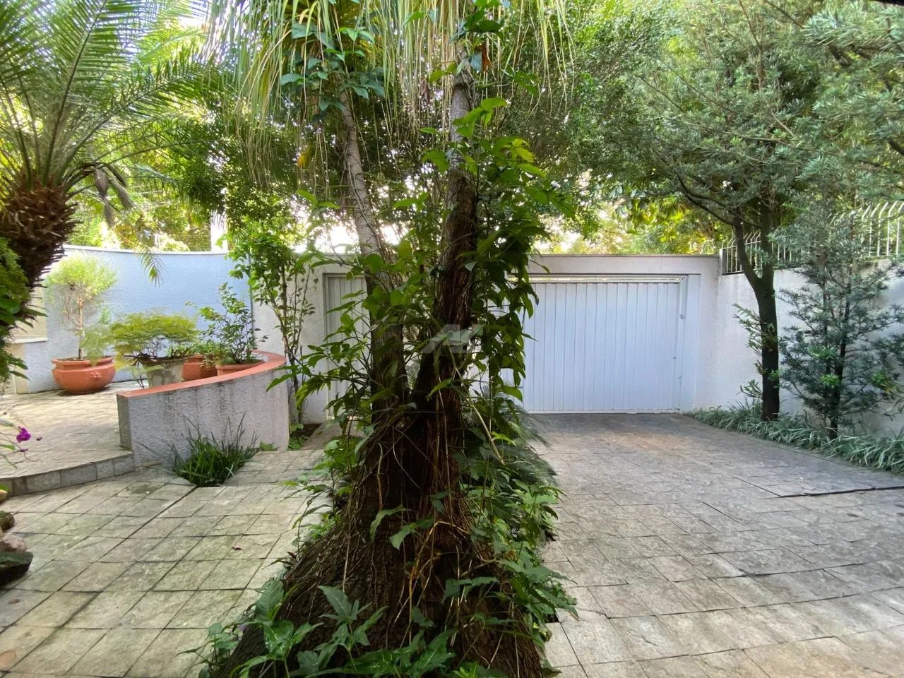casa - Jardim Paraíso - Campinas - Foto 2