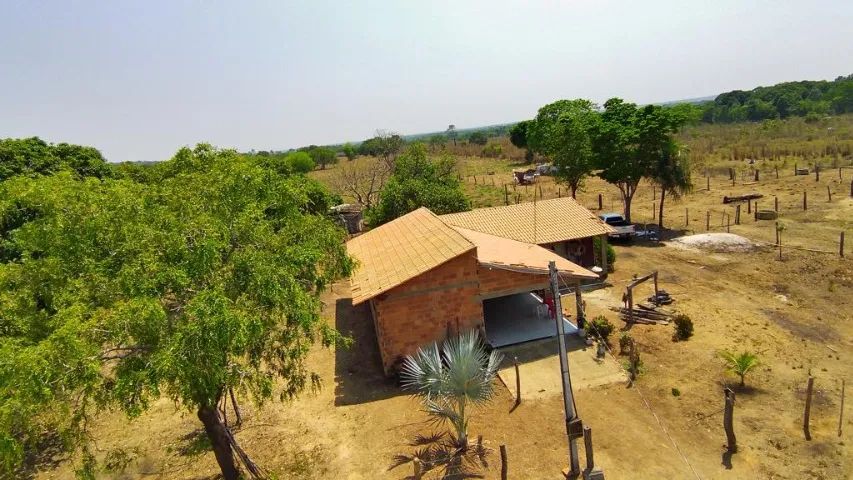 Fazenda dos sonhos 136 ha - Foto 2