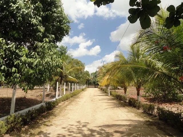 Sítio no município de Bayeux - Foto 12