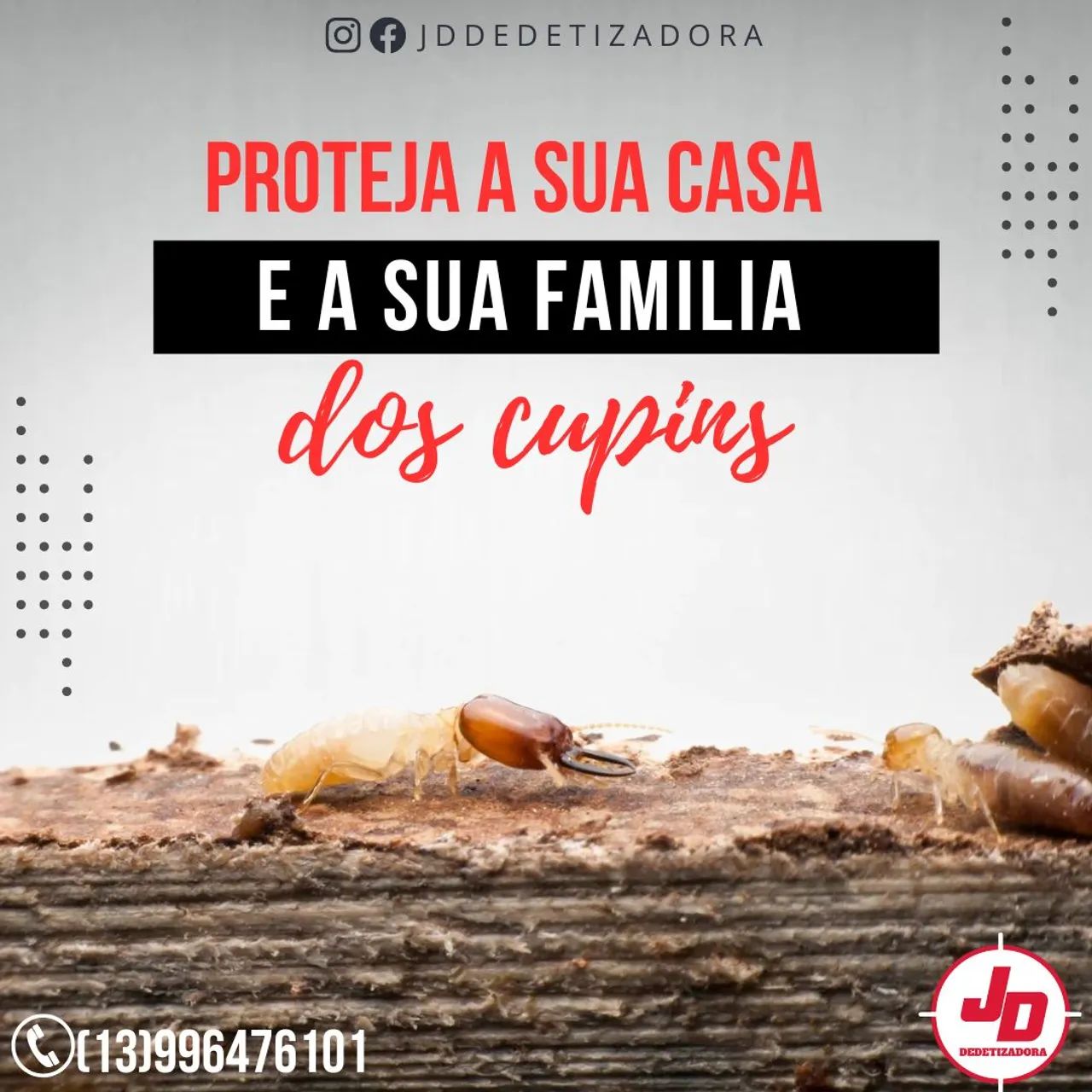 Dedetização em geral - Foto 3