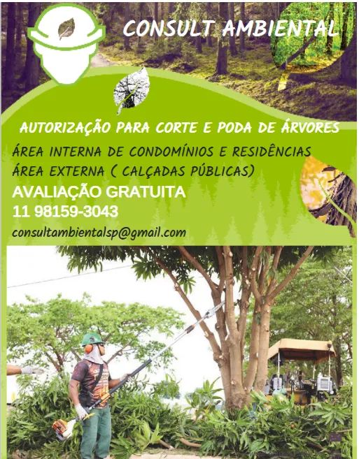PODA E CORTE DE ÁRVORES 