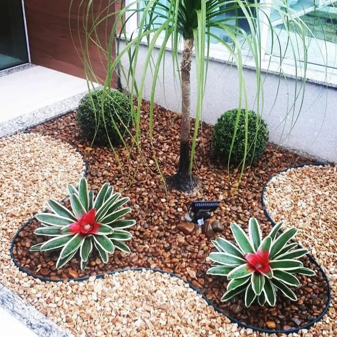 Diego Jardins - Foto 2