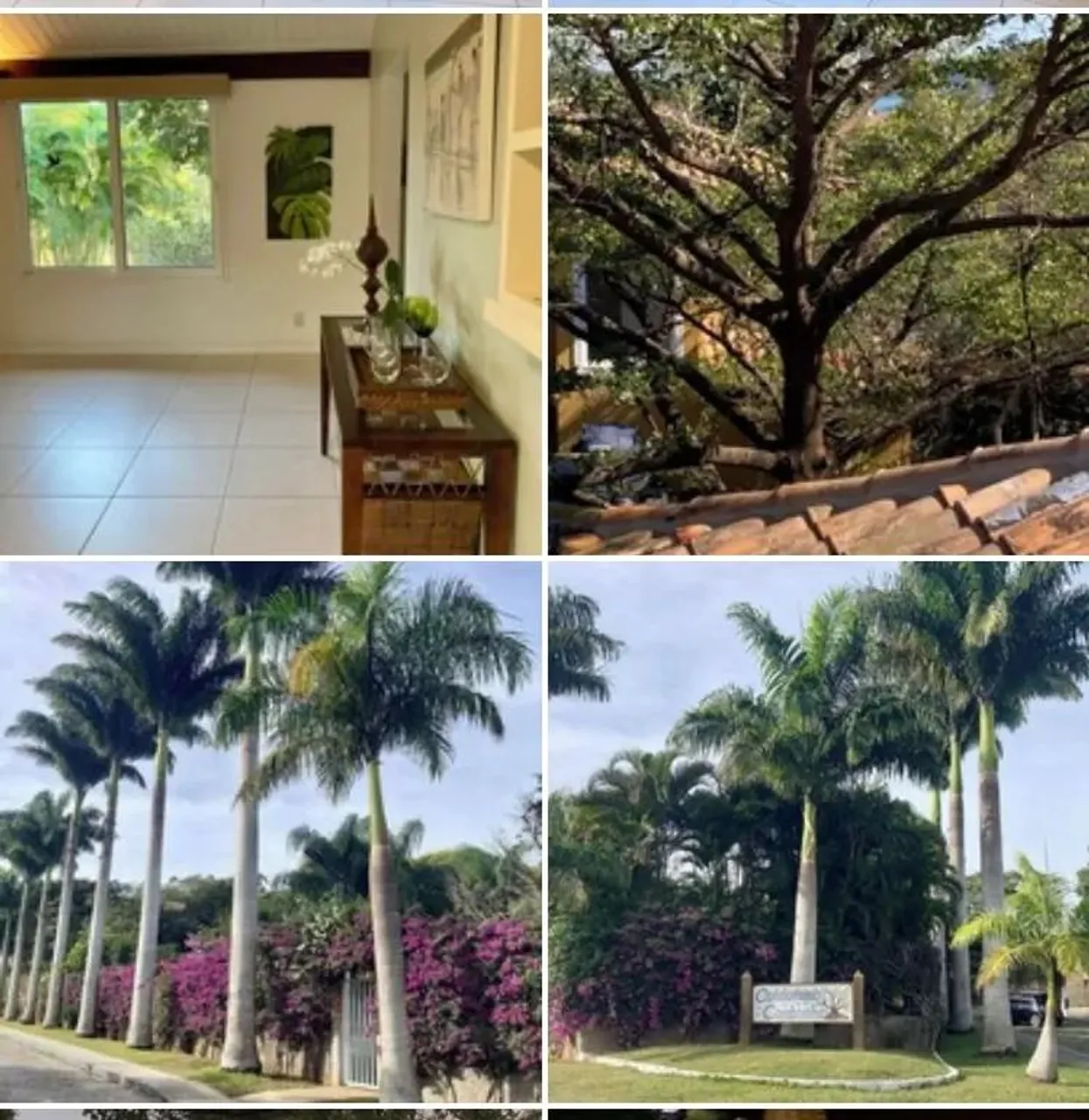 Paraíso no Centro de Búzios