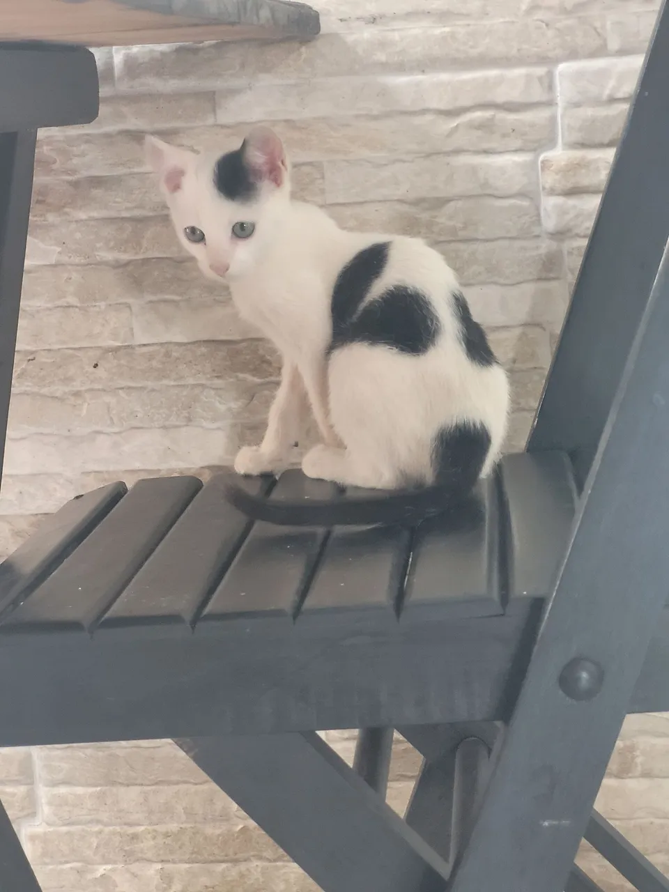 3 machinho
