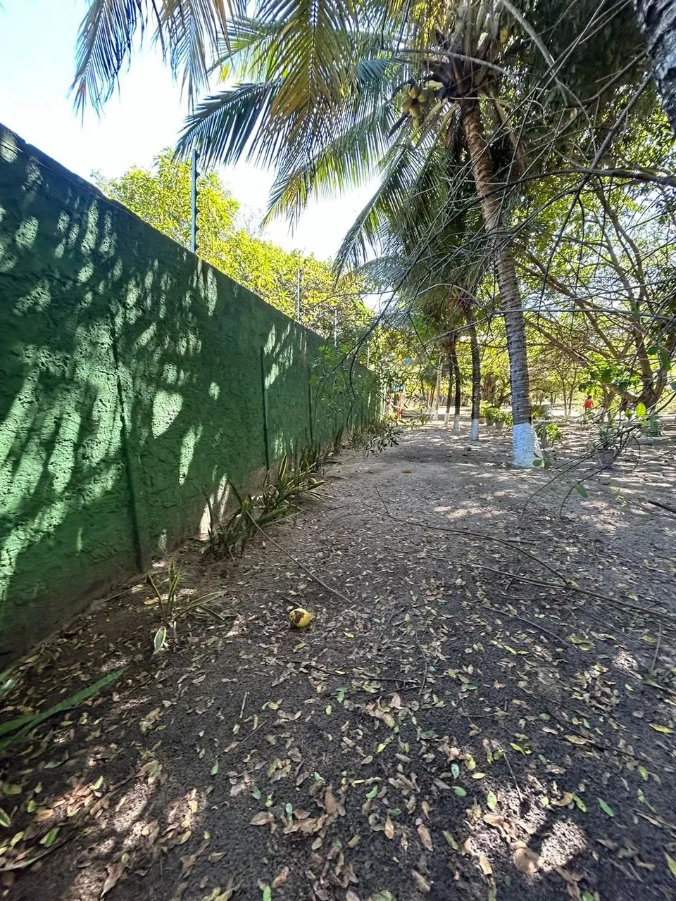 Terreno à venda na rua Três Porquinhos, bairro Robalo - Foto 3