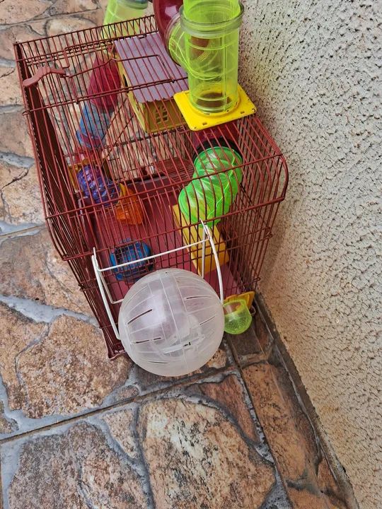 Gaiola Para Hamster - Foto 2