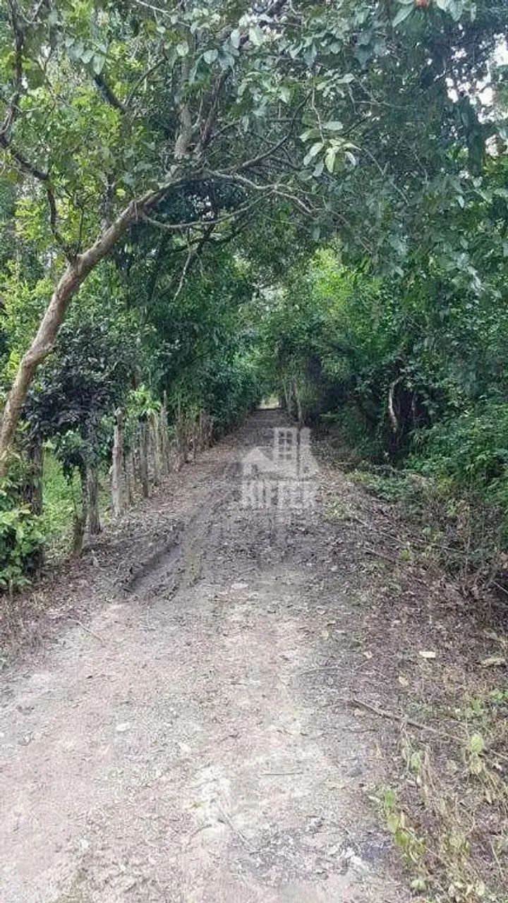 Fazenda à venda, 840281 m² por R$ 4.500.000,00 - Mazomba - Itaguaí/RJ - Foto 2