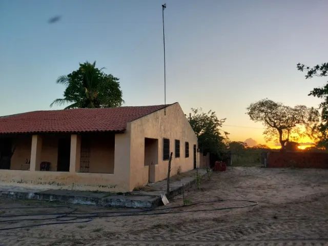 Fazenda Vitoria - 76 hectares em Chorozinho para vender - Foto 5
