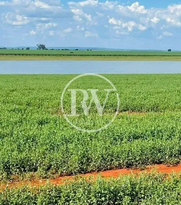 Fazenda à venda,150 alq, Plantando Cana e Soja Próximo a Gouvelândia, GO