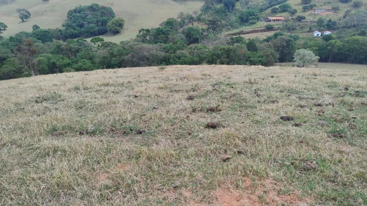 Terreno Bueno Brandão  - Foto 4