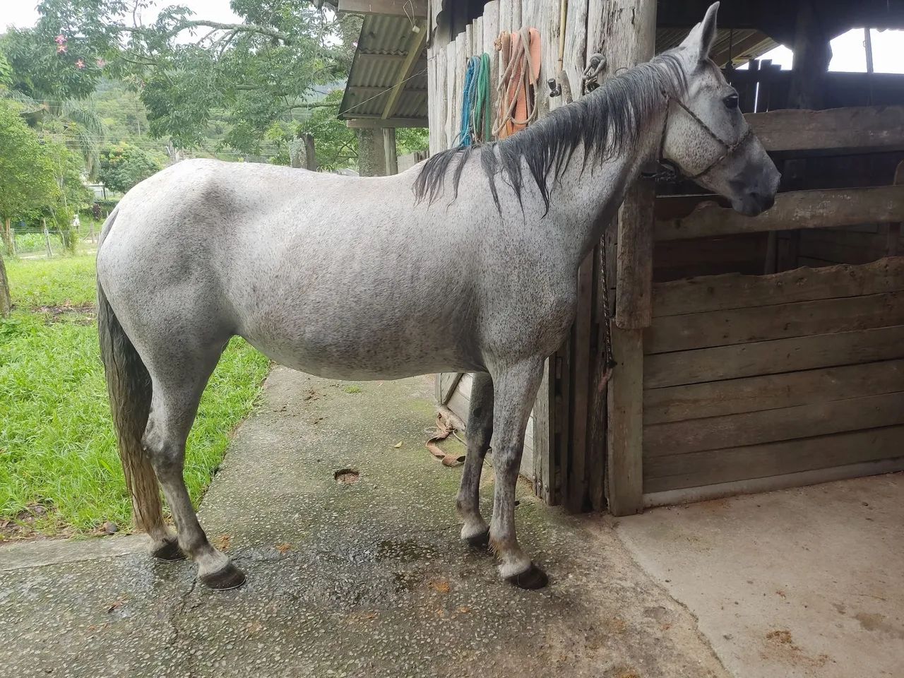 MARCHA PICADA!!! - Foto 5
