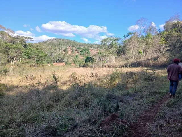 Fazenda - Foto 4