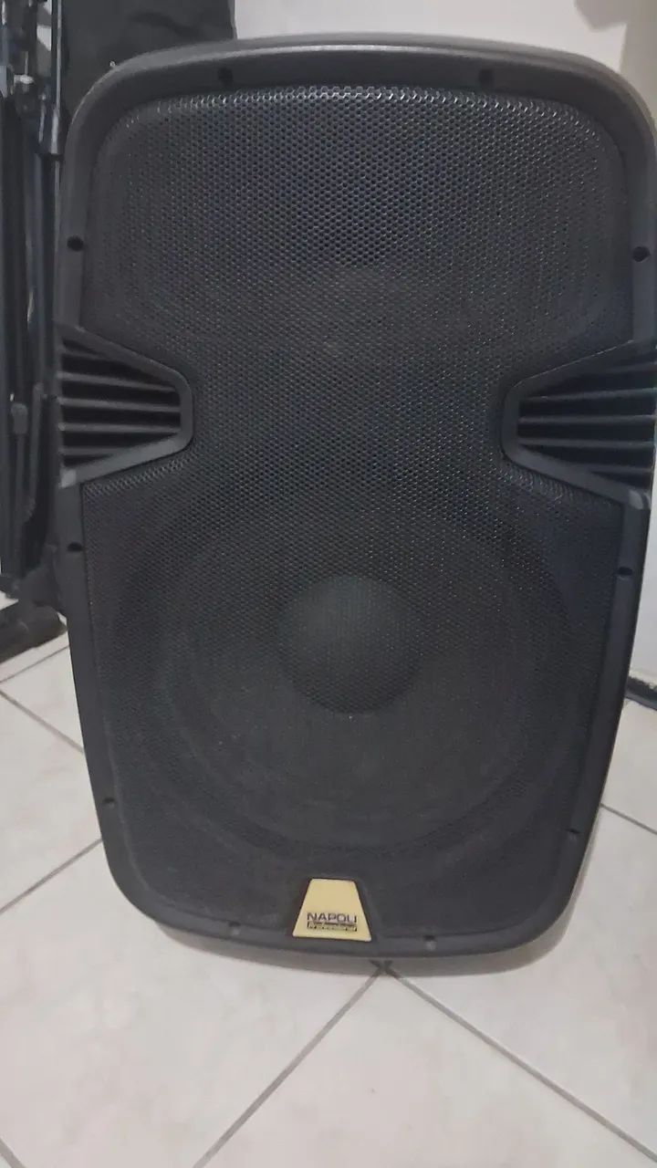 Caixa profissional 15polegadas 500wts NAPOLE excelente grave