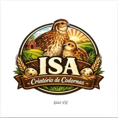 Codornas Japonicas - Foto 4