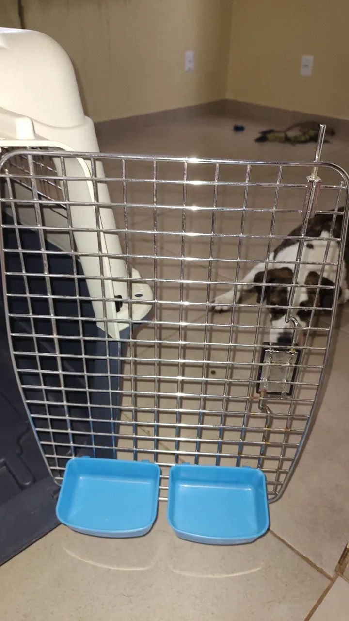 Vendo duas Caixas de transporte para pets. - Foto 3