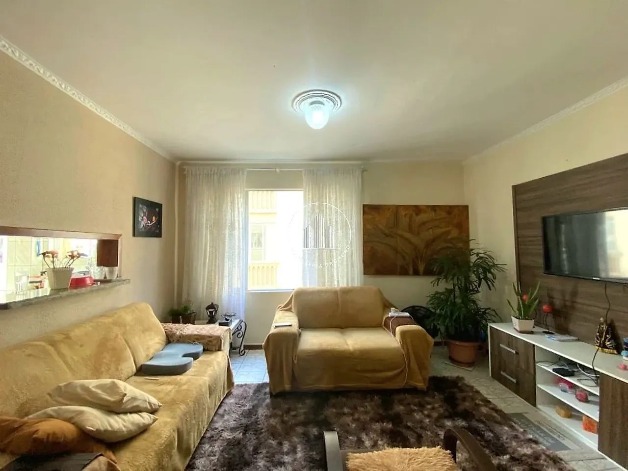 Apartamento 3 Quartos 66m² - Areias - Foto 5