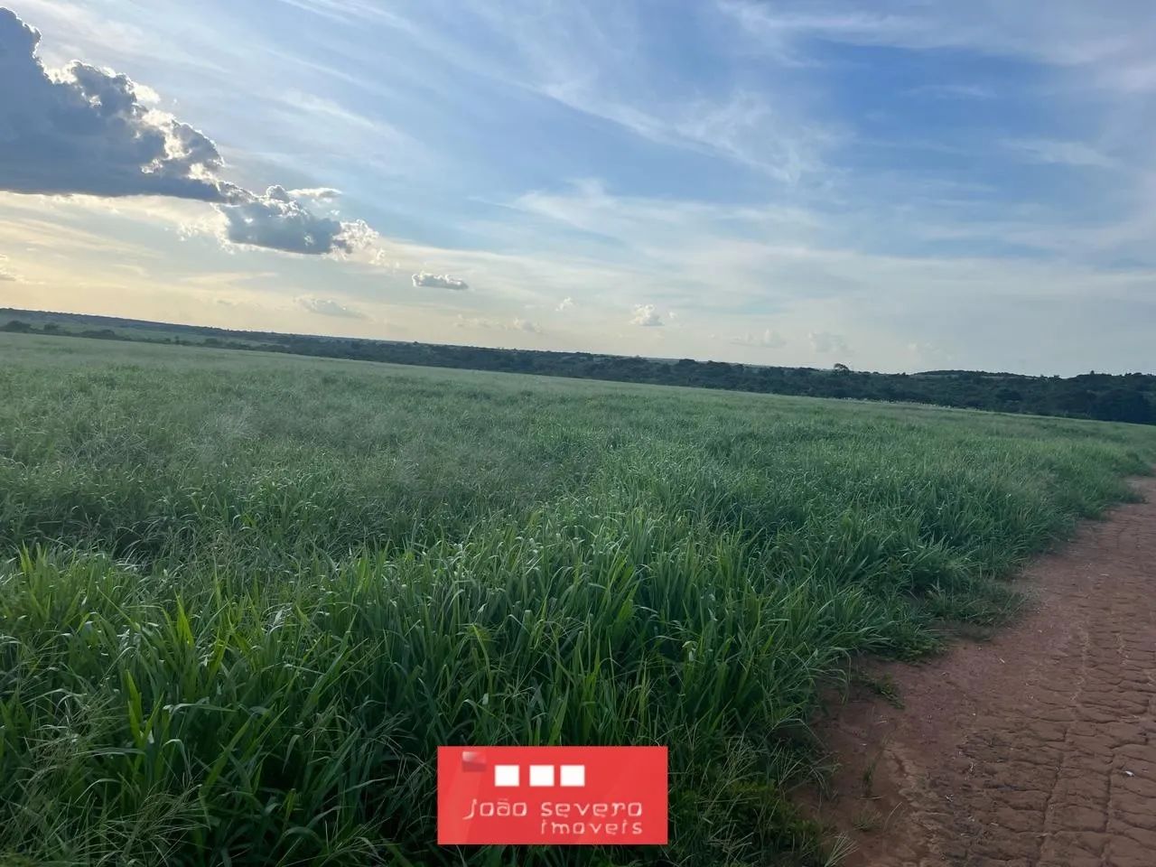 Fazenda para Venda em Britânia - Foto 2