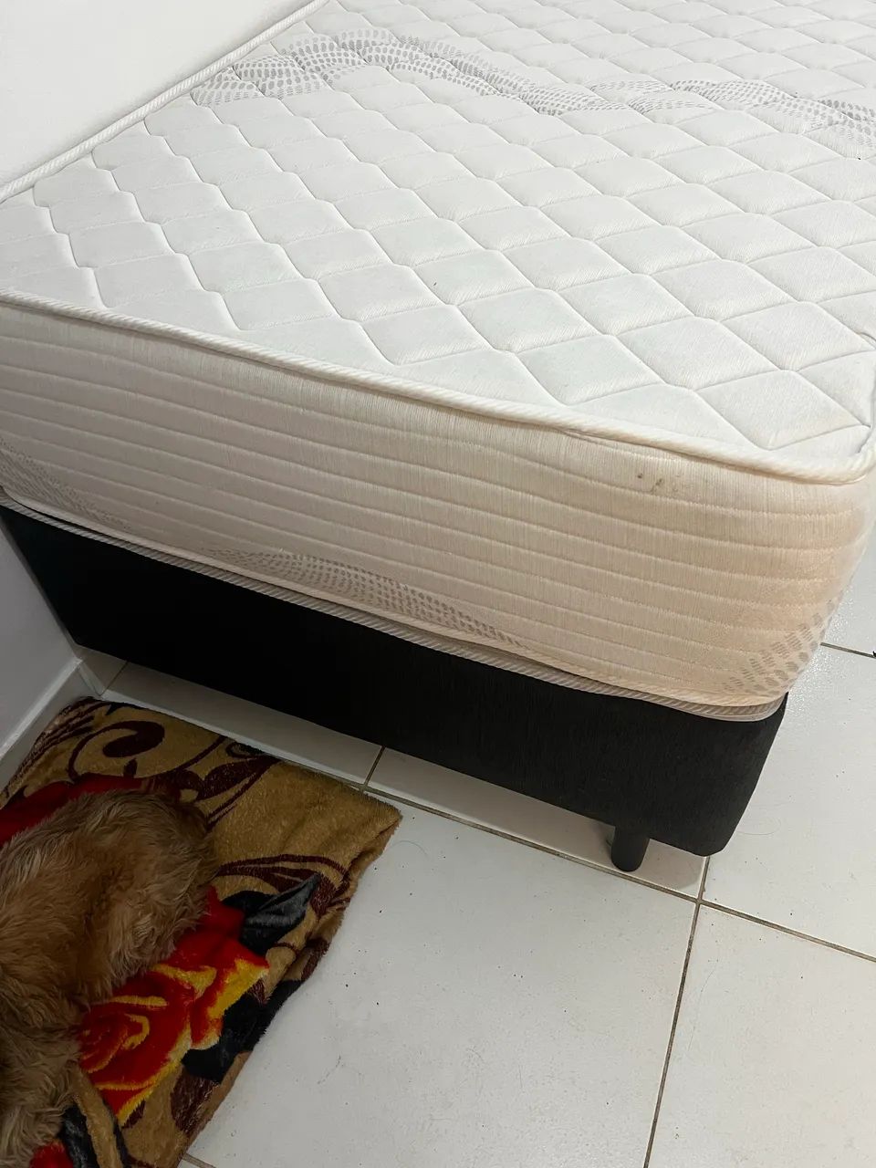 Cama box solteiro com cama auxiliar colchão de molas  - Foto 2