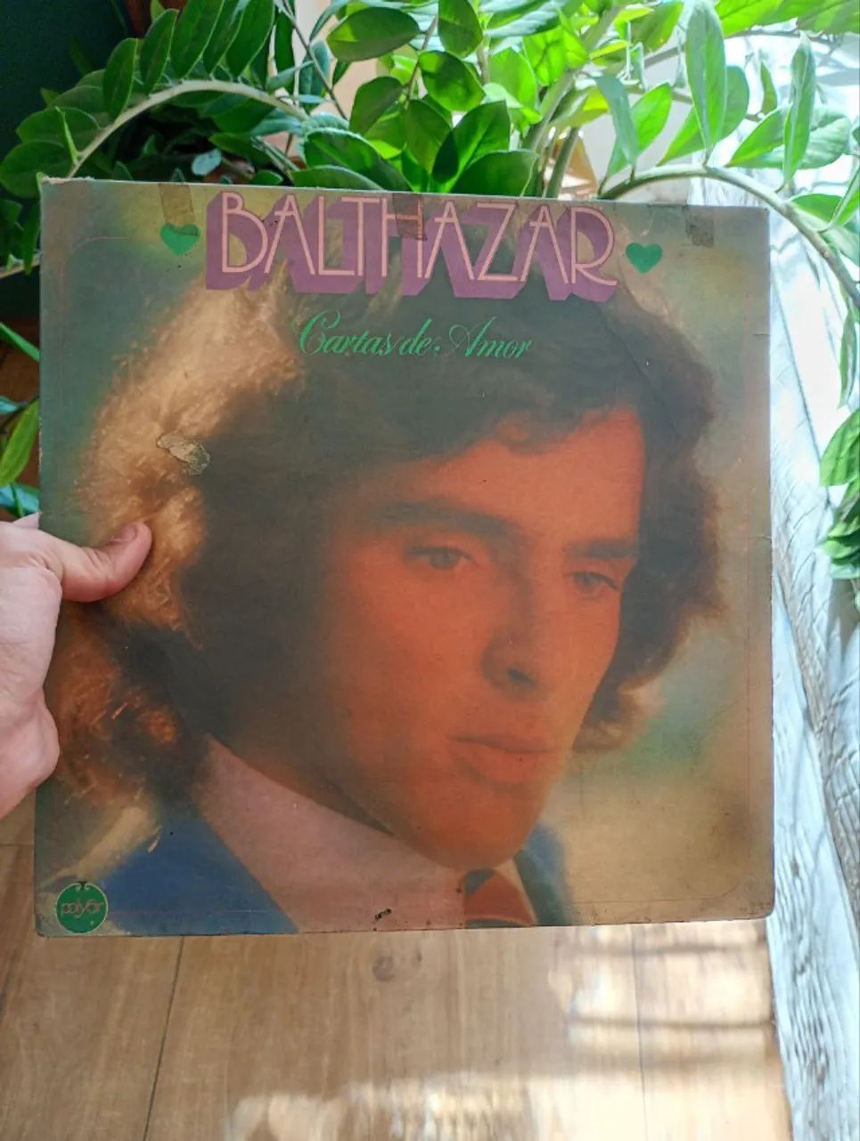 Lote de vinil - Sertanejo e Brega - 15 unidades (Tonico e Tinoco, Amado Batista ...)