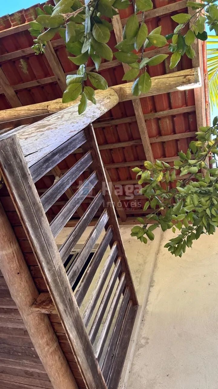 Sítio à venda no Bairro Aguti em Nova Trento/SC - Foto 5