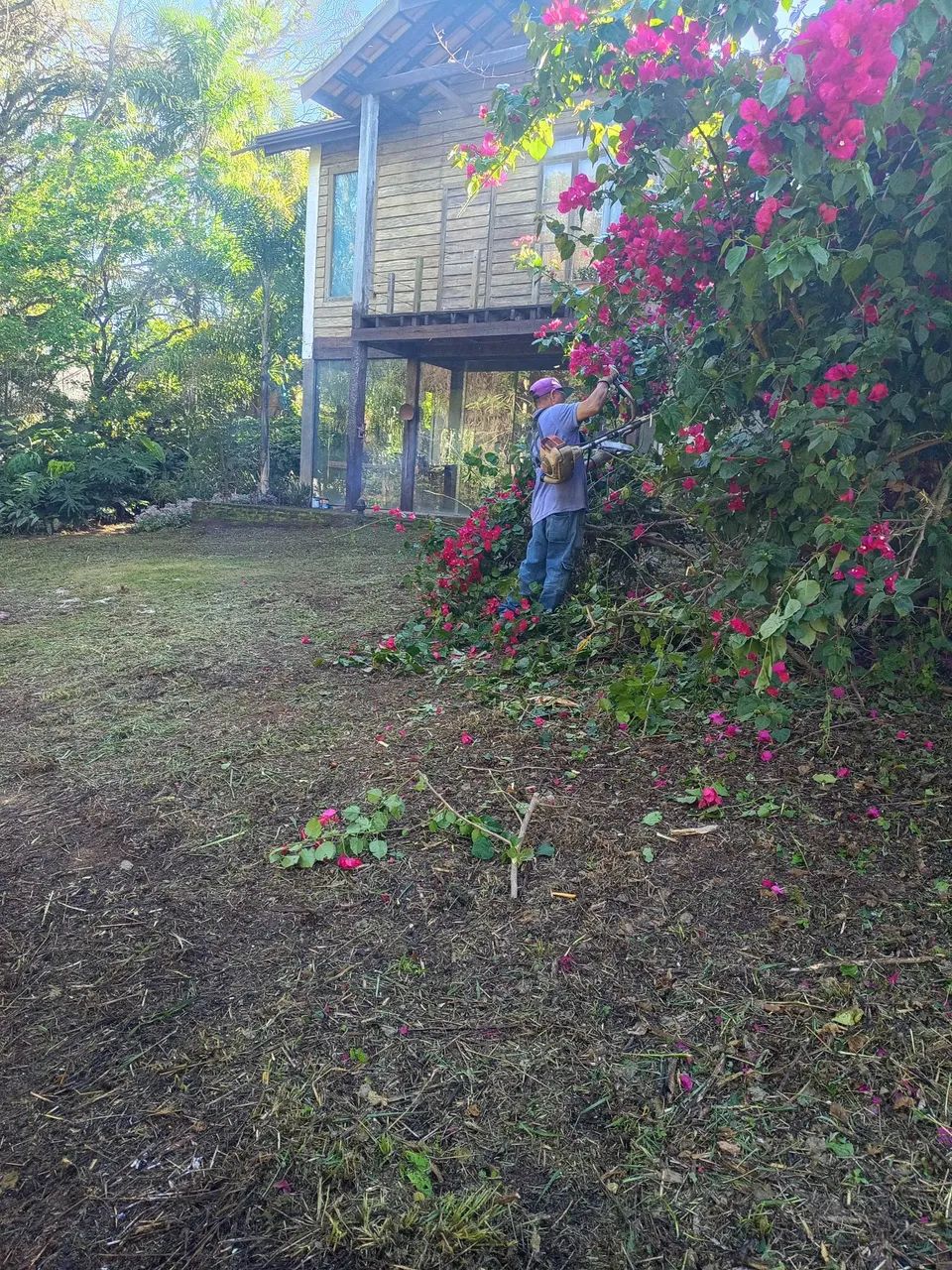 Roçagem  - Foto 2