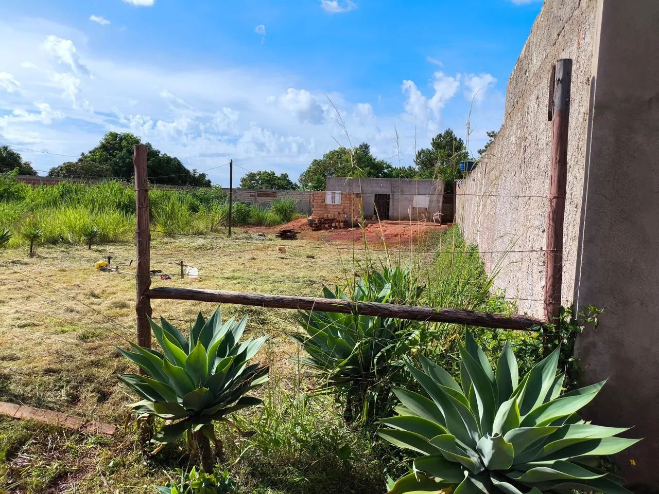 Venda lote na 26 de setembro - Foto 2