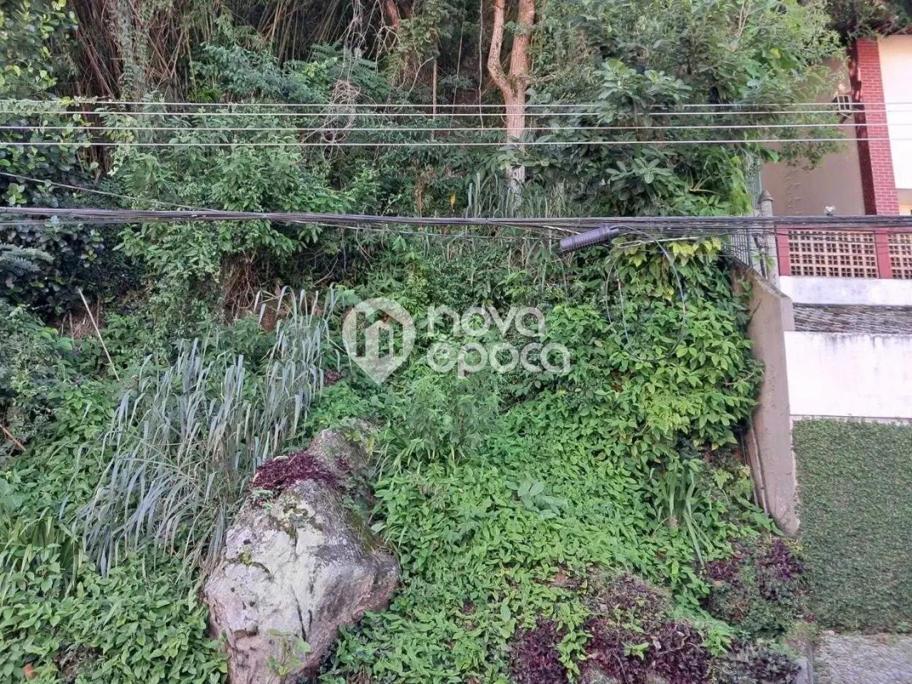 Laranjeiras | Terreno - Foto 3