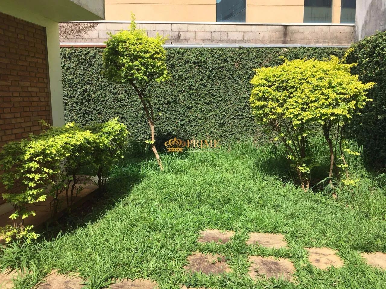 casa - Cambuí - Campinas - Foto 3