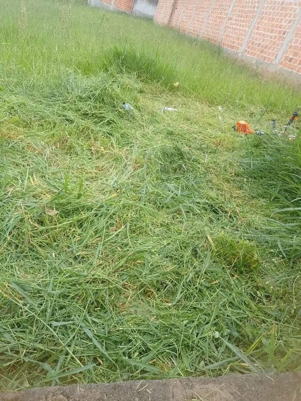 Limpeza de terreno - Foto 3